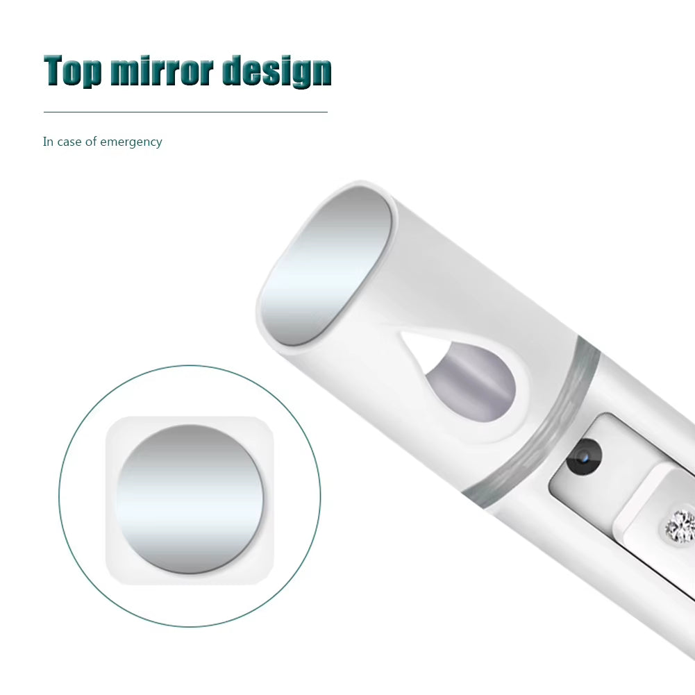 Mini Nano Facial Mister